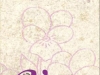 violeta-retiro